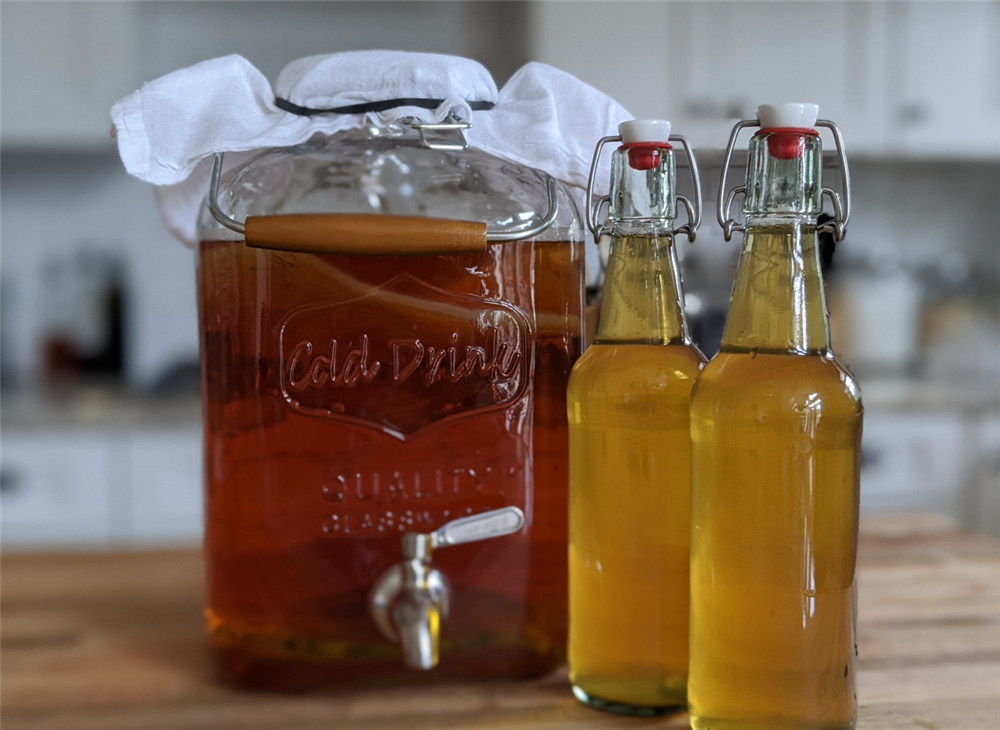 WHAT IS KOMBUCHA SCOBY? kombucha fermenting equipment, kombucha flat open top fermenter, kombucha boil kettle, kombucha storage tank, kombucha mixing tank, kombucha fermenter